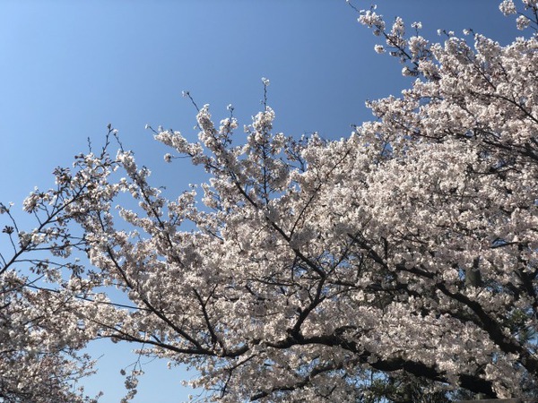 20190404_011317943_iOS